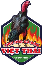 GadonVietThai